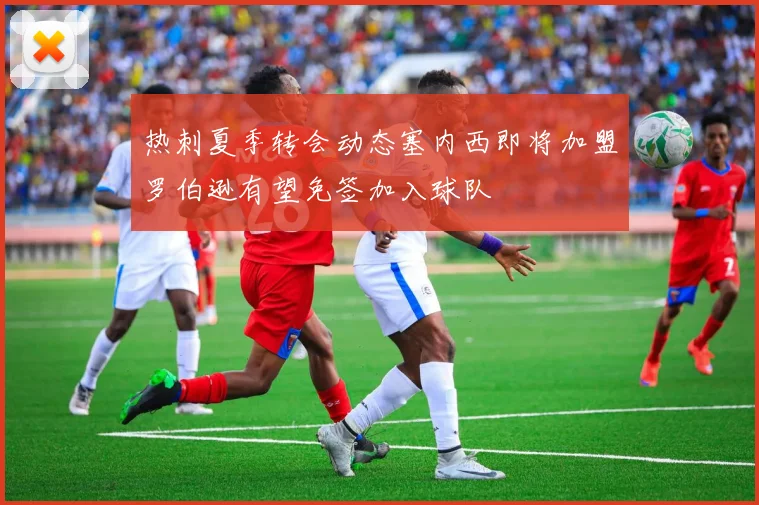 热刺夏季转会动态塞内西即将加盟罗伯逊有望免签加入球队