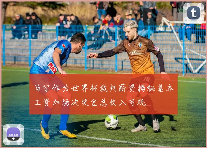 马宁作为世界杯裁判薪资揭秘基本工资加场次奖金总收入可观